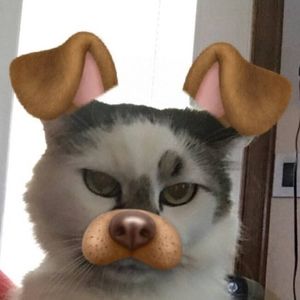 Meet your Posher, Rachelle